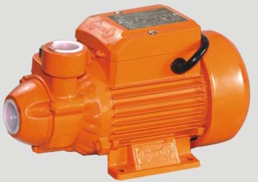 Peripheral Water Pump for Clean Water Transfer