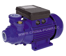 Self-Priming Peripheral Water Pump