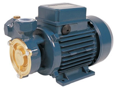 PERIPHERAL PUMP SQP - Image 2