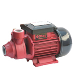 Peripheral Water Pump for Irrigation
