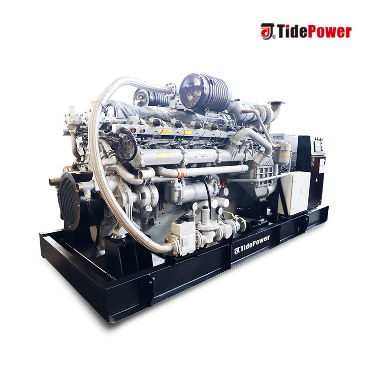 Perkins Gas Generator with CHP System - Image 3