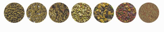 pet food(fish feed,cat food,dog food)processing line - Image 2