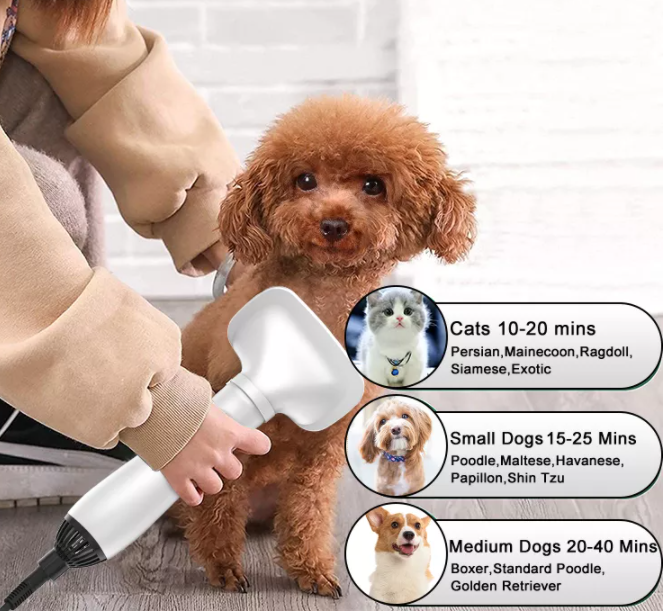 Pet Hair Dryer with Grooming Attachments