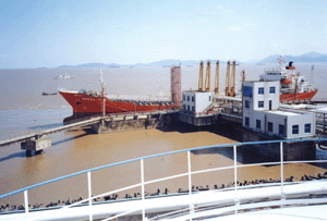 Petrochemical Industrial Facility