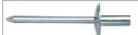 Precision Rivet for Pharmaceutical Equipment