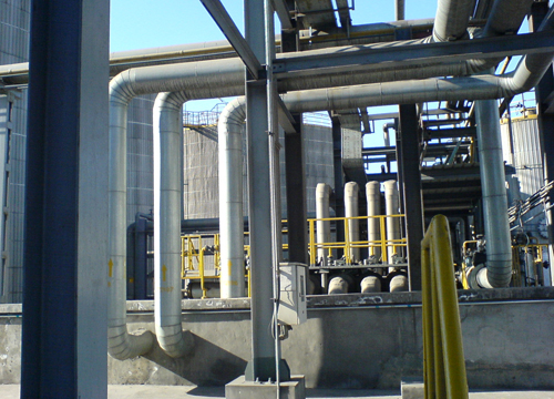 Pharmaceutical Processing System