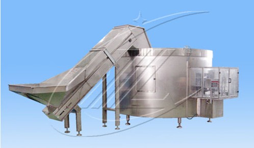 Pharmaceutical Processing System with Conveyor Belt