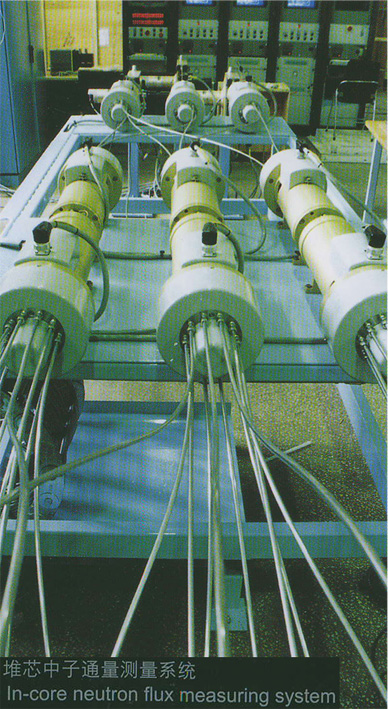 In-Core Neutron Flux Measuring System