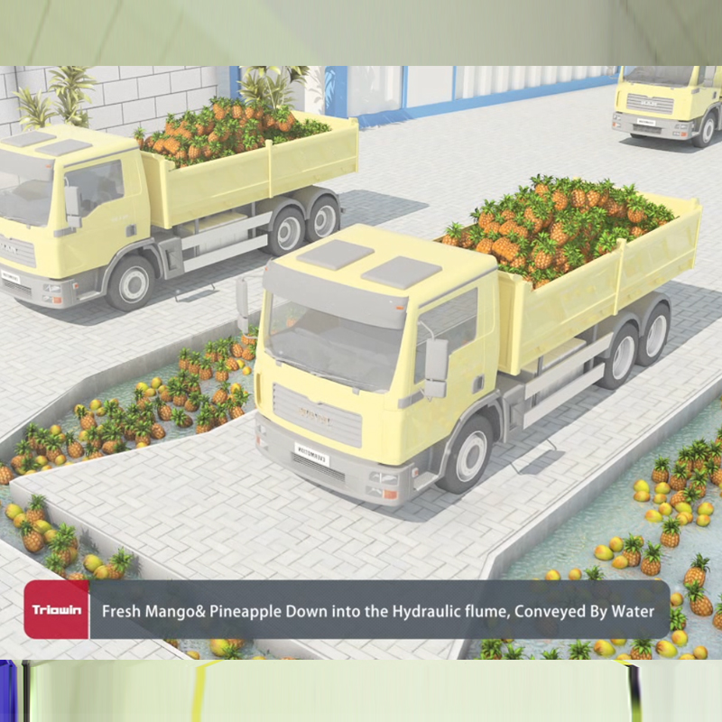 Pineapple& Mango processing line - Image 2
