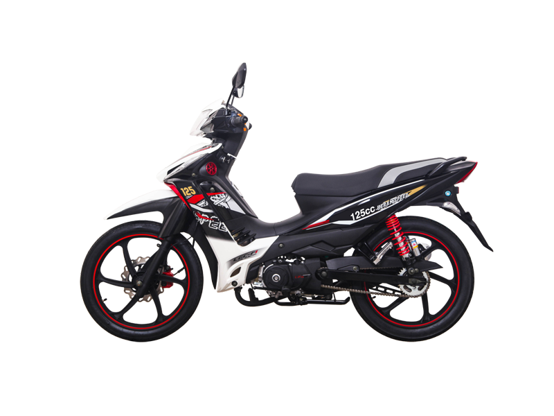 125cc Underbone Motorcycle
