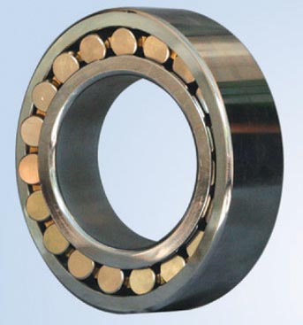 Cylindrical Roller Plain Bearing