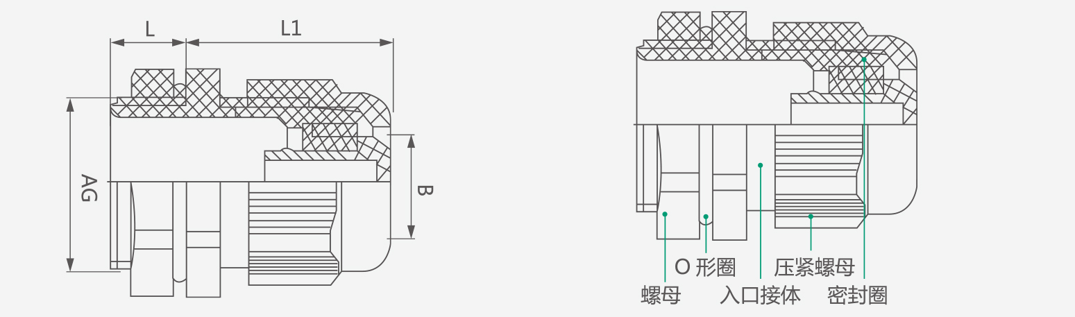 Sectional view diagram of the IP68 cable gland components