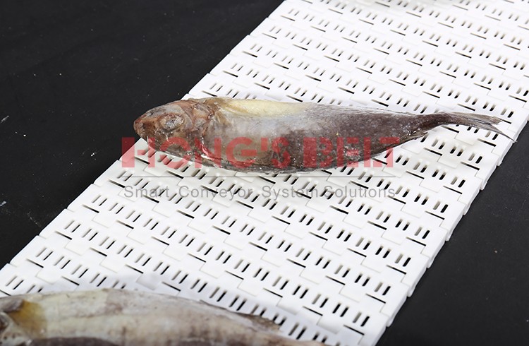 Plastic Modular Conveyor Belt HS-1000B - Image 2