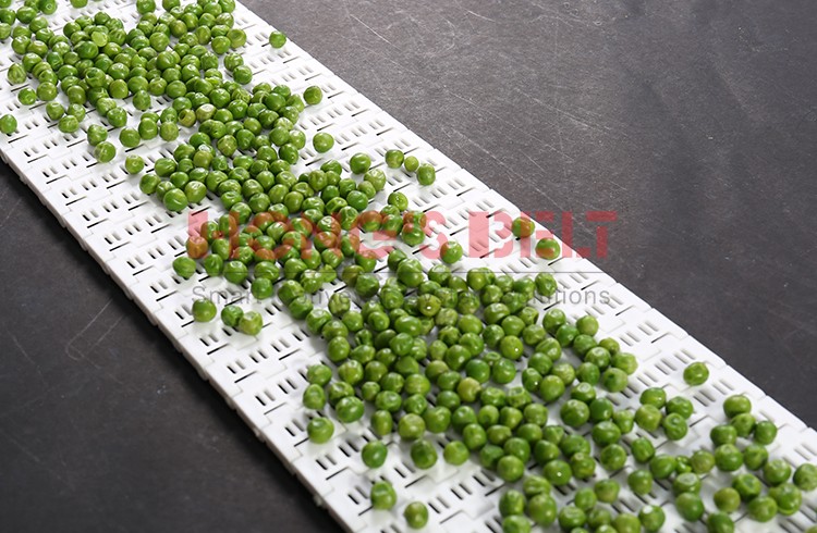 Plastic Modular Conveyor Belt