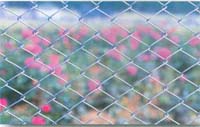 Zinc Plated Diamond Mesh Fencing