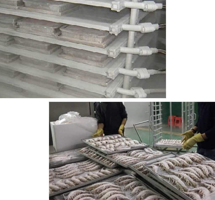 Freezing Equipment