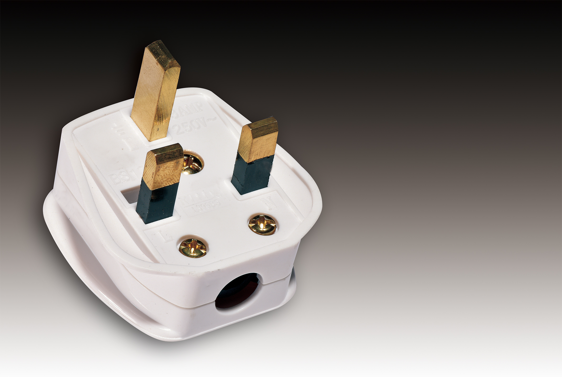 Plug - Image 2