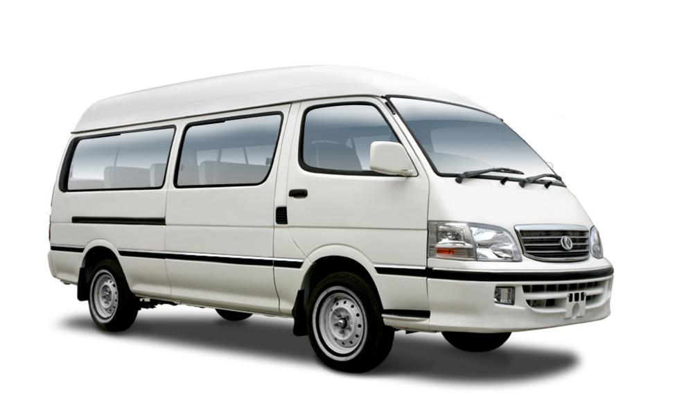 11-17 Passenger Gasoline Bus
