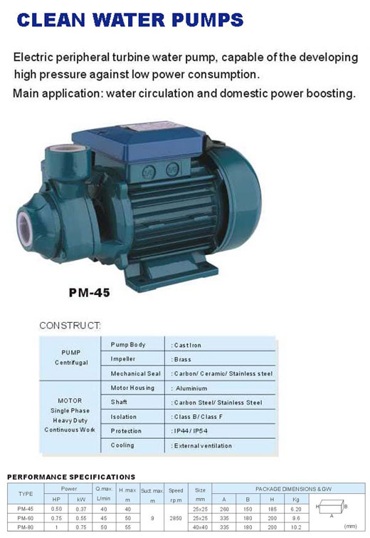 Electric Peripheral Turbine Water Pump