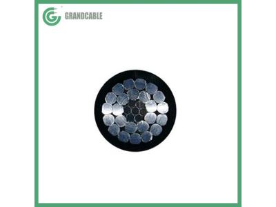 Poly All Aluminum Conductors Steel Reinforced (POLY ACSR) PE Insulated 600 Volts - Image 2