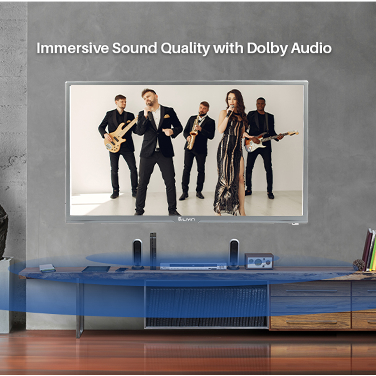 TV speaker audio graphic