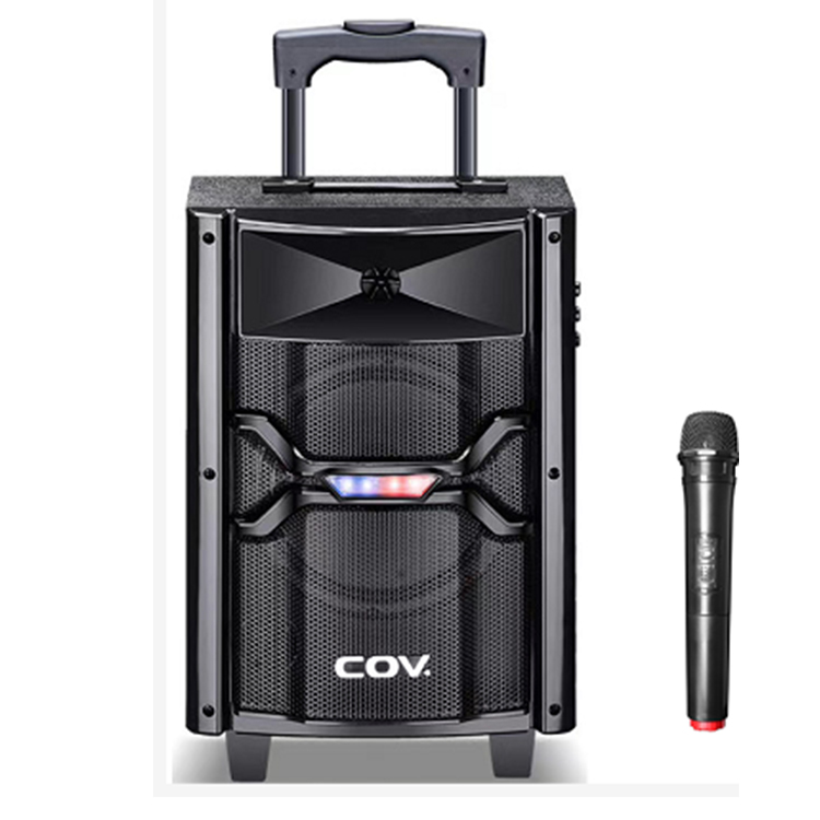 portable 8 inch trolley speaker 20W - Image 2