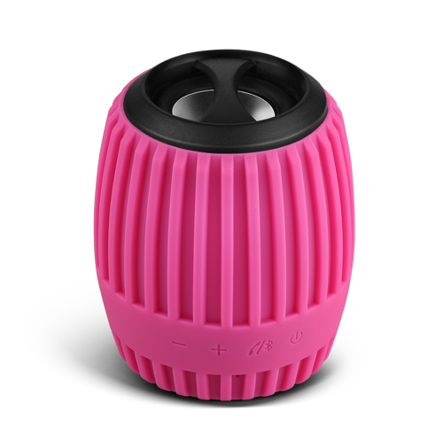 Portable Bluetooth Speaker