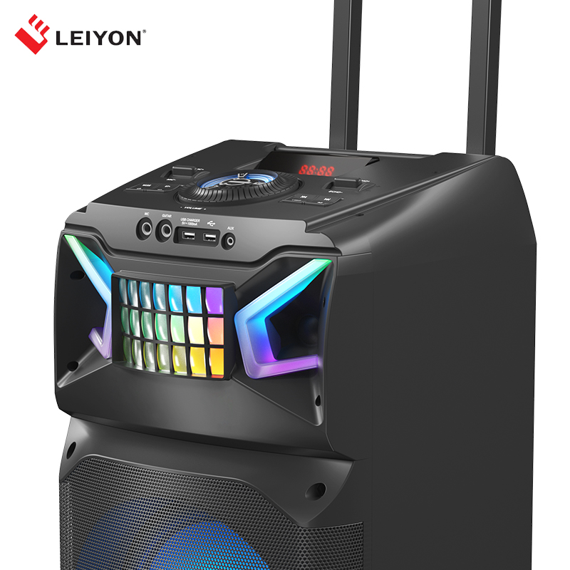 Portable Rechargeable PA Speaker System with Wireless Microphone