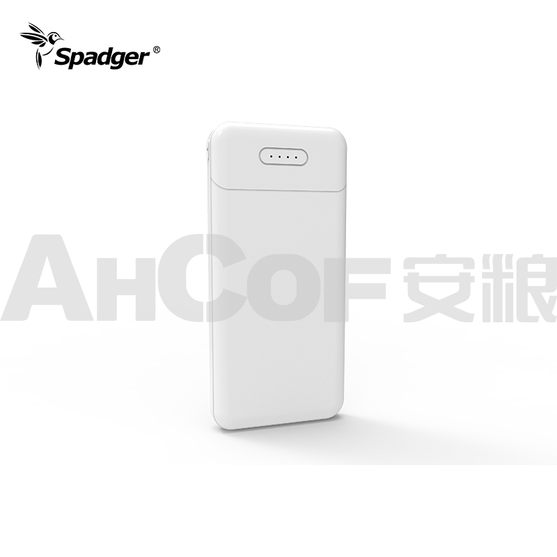 10000mAh Portable Power Bank