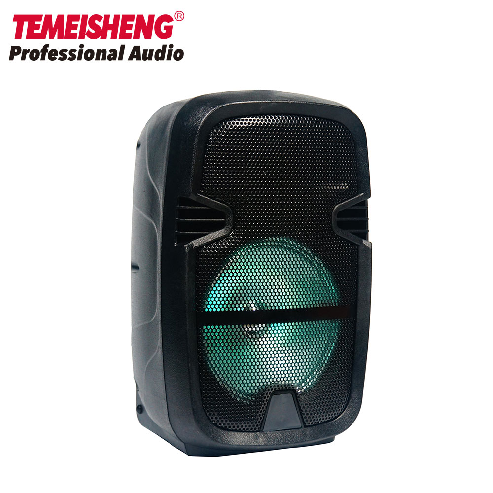 Portable Mini 8 inch Bluetooth Speaker - Image 2
