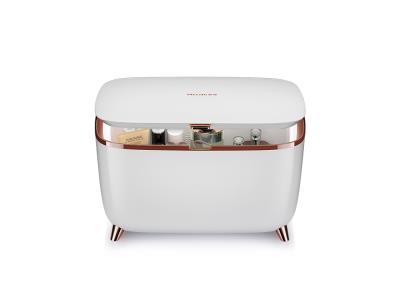Portable personalized mini fridge 10L home cosmetic fridge Mini Refrigerator - Image 3