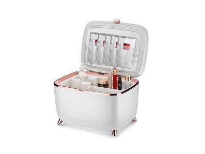 10L Portable Mini Fridge for Cosmetics