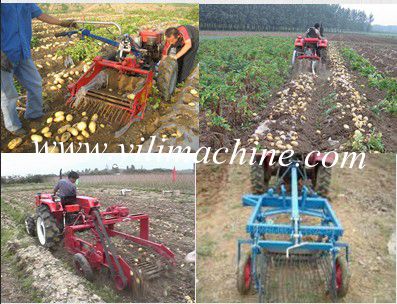 Potato Harvesting Machine