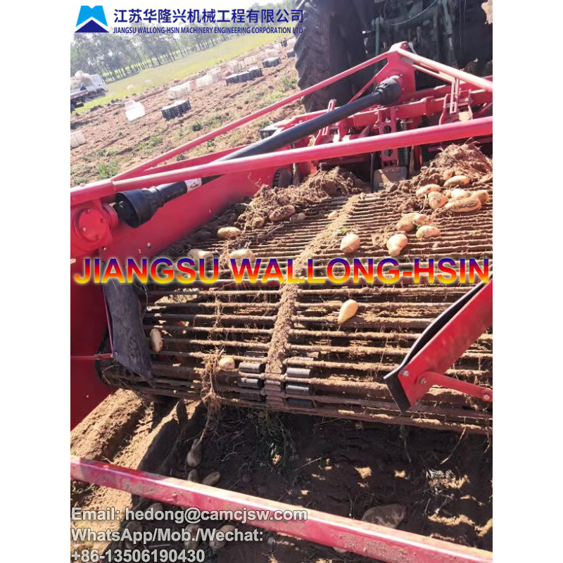 Potato Harvesting Machine
