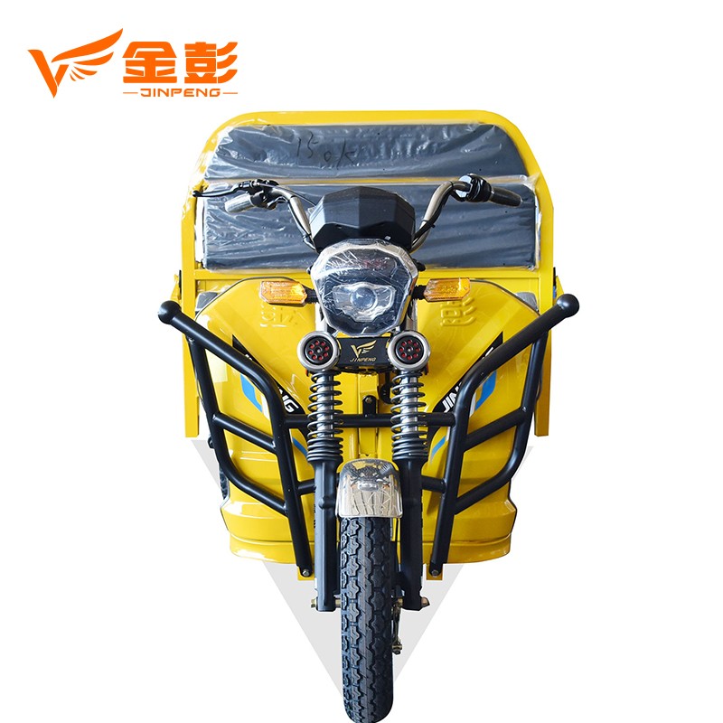 Powerful climbing hill Electric cargo Tricycle with 1000W Motor Model - Image 3