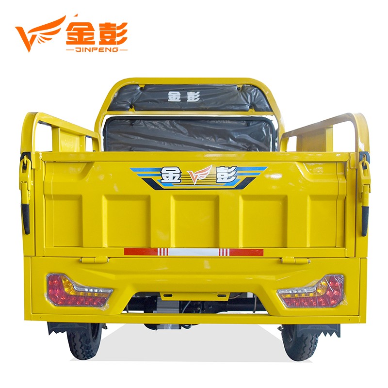 Powerful climbing hill Electric cargo Tricycle with 1000W Motor Model - Image 2
