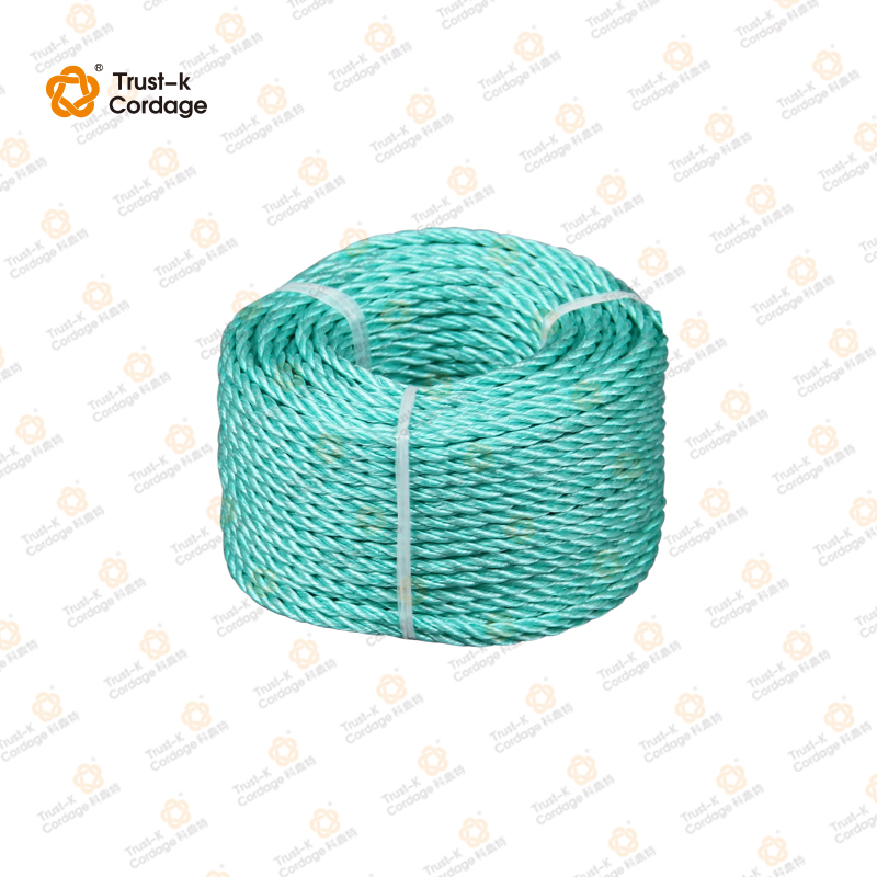 PP Danline 3 Strand Twisted Rope - Image 2