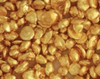 Placer Gold Nuggets