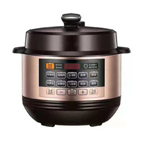 Electric Multi-Function Pressure Cooker