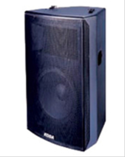 Professional Audio Speaker for Live Sound Reinforcement