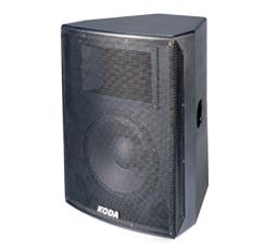 12-inch 120W Professional Audio Speaker