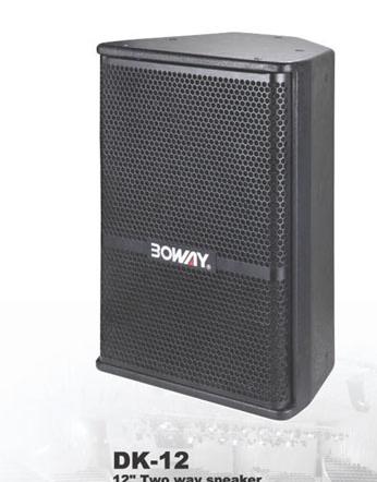 Professional Audio Speaker for Sound Reinforcement