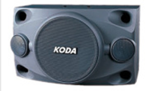 Professional Audio Speaker