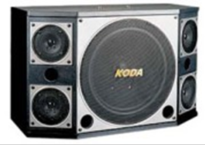 Professional Audio Speaker System
