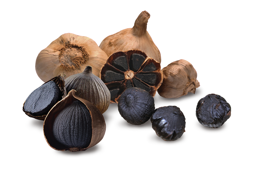 Black Garlic Fermenter