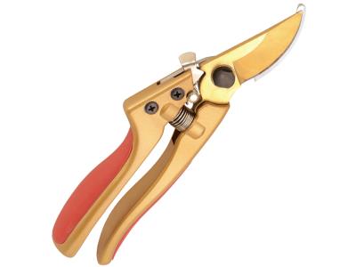 Precision Pruning Shears