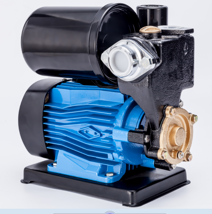 PS 150B automatic electric water pump - Image 3