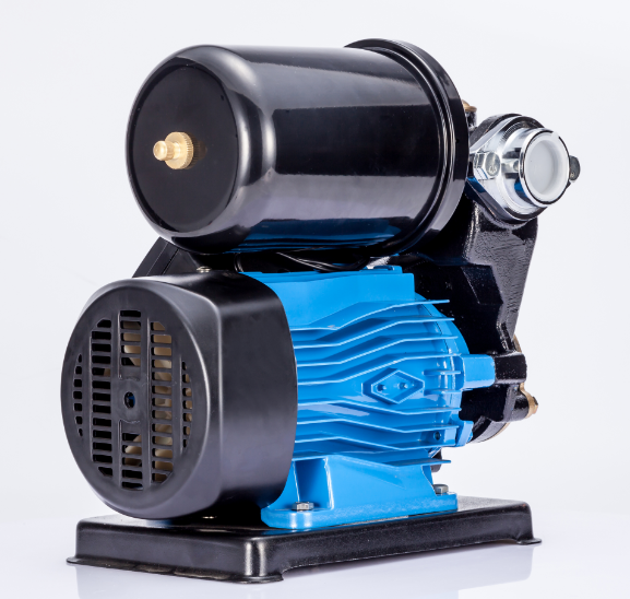 PS 150B automatic electric water pump - Image 2