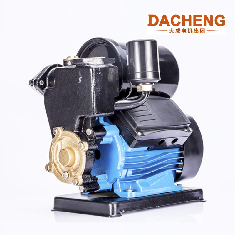 Automatic Electric Water Pump