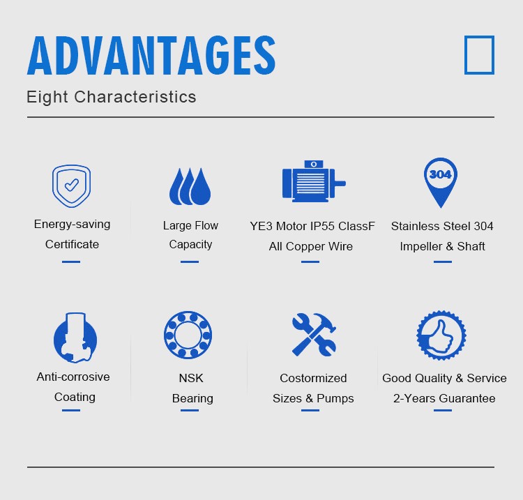 Infographic showing the eight key advantages of the PTD pump including energy efficiency and copper wire motor construction.